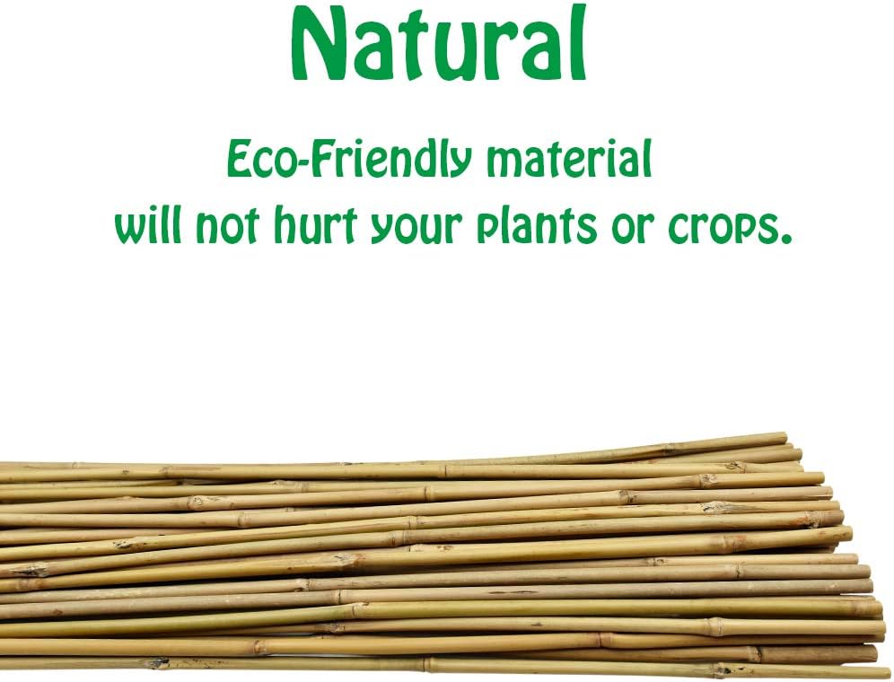 Mininfa Natural Bamboo Stakes 3 Feet, Eco-Friendly Garden Stakes, Plant Stakes Supports Climbing for Tomatoes, Trees, Beans, 25 Pack
