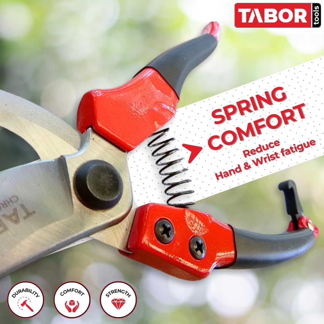 TABOR TOOLS S821A Bypass Pruning Shears, Makes Clean Cuts, Great for S-M Size Hands. Professional Sharp Secateurs, Hand Pruner, Garden Shears, Clippers for The Garden.