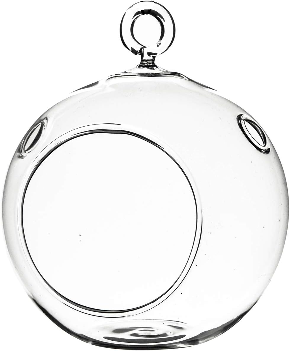 WGV Hanging Terrarium Globe, Width 3", Height 4", DIY Air Succulent Planter, Clear Glass Vase Orb with Flat Bottom, Candle Holder for Windowsill Outdoor Garden Decor, 1 Piece