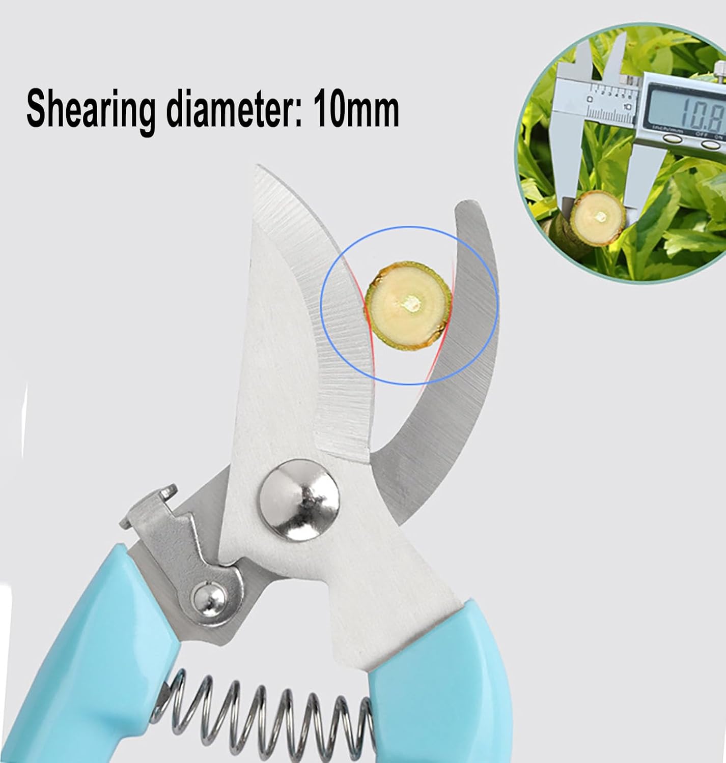 2pcs Garden Flower Shears Pruning Shears 6.9 inches Scissors Heavy Duty Plant Scissors for Cutting Flowers, Trimming Plants, Bonsai, Fruits Picking (Blue Handle 2pcs)