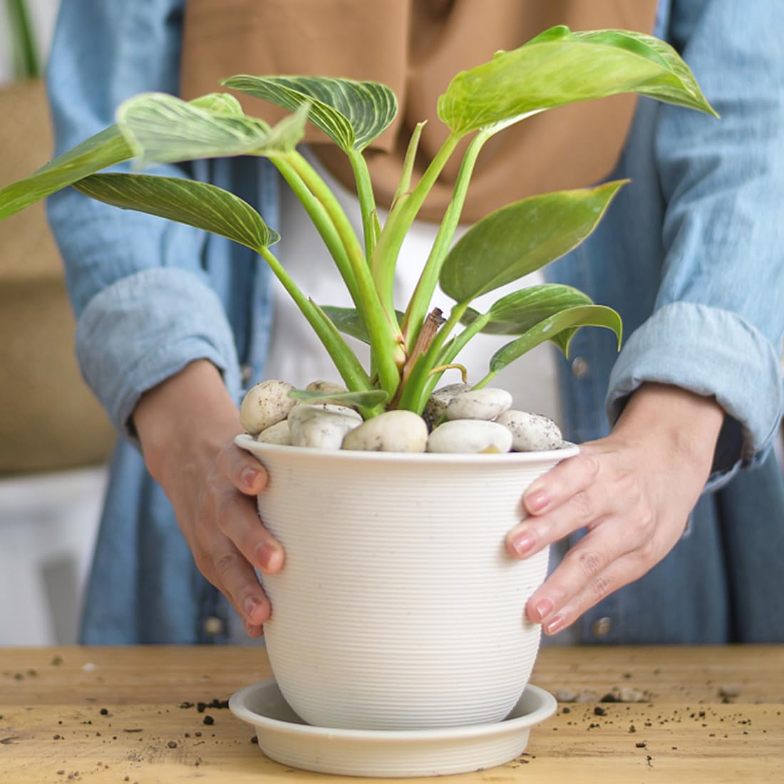 20lbs White River Rocks for Landscaping, 2-3 Inch Natural Pebbles for Indoor Plants, High Polished Decorative Stones Vase Filler Fish Tank Aquariums Garden Outdoor and Indoor DIY