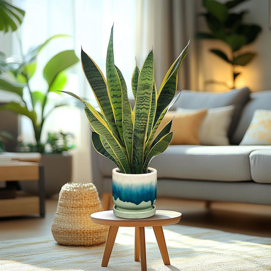 Oairse Ceramic Pot for Plants 5.5 inch Pots for Plants Small Planter Pot with Drainage Hole and Saucers Gradient Dark Teal Outdoor Inoor Flower Pots for Succulent, Cactus, Snake Plant, Herb