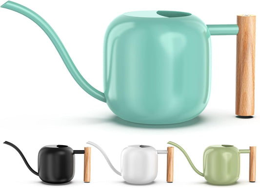 Green Moon Water Can Indoor Plant Mint Green 1.2L/41oz Metal Stainless Steel Water Can Indoor Outdoor with Long Spout for House Plant Bonsai Outdoor Garden Flowers