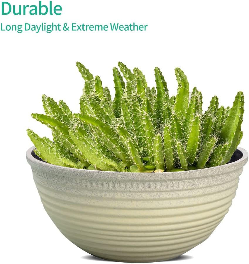 2 Pack 10 Inch Plant Pots,Durable Decorative Flower Pots Planters with Drainage Hole for Indoor and Outdoor Plants,Flowers,Succulents, White
