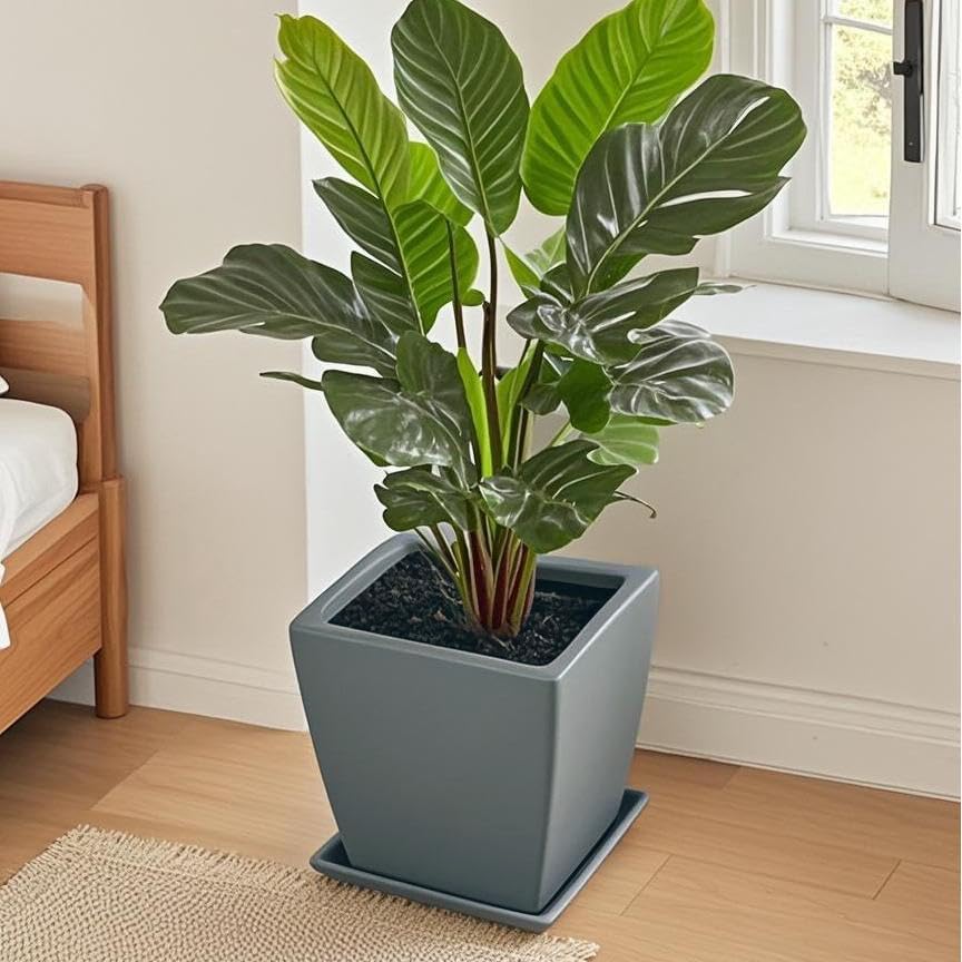 Square Plant Saucer 12 Inch 1 Pack，Plant Trays for Pots, Gray Ceramic Plant Saucers for Indoors Outdoors, Plant Drip Tray 4 6 8 10 12 14 Inch