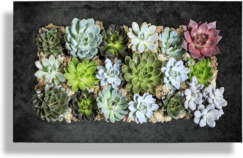 Modern Home Living Wall Galvanized Steel/Zinc Succulent Planter (Black Zinc, Horizontal 18 Pocket)