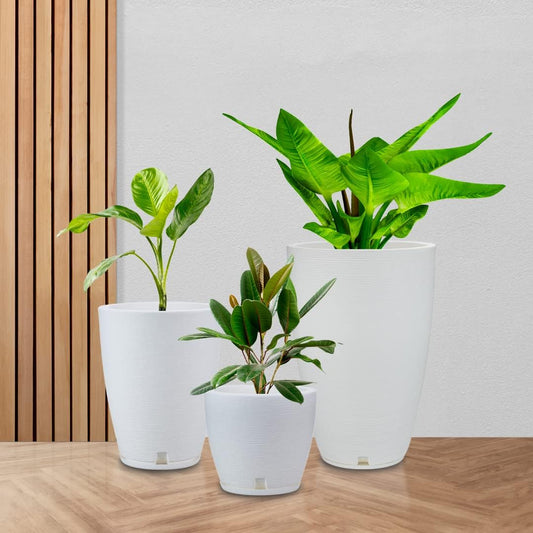 Floridis Planter, Set of 3, Outdoor/Indoor, Plastic Resin (White)