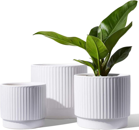 LE TAUCI Ceramic Pots for Plants, 8+6.7+5.5 Inch Plant Pots Indoor, Flower Pot with Drainage Holes, Medium Cylinder Planters for Indoor House Plants, Set of 3, White