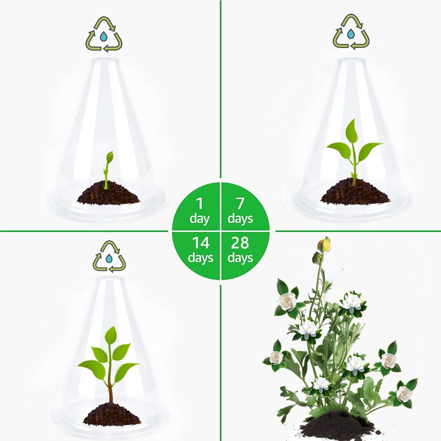 【36 Pieces】 Garden Cloches for Plants, Plant Cover Plant Protectors Transparent Bell Jar Cloche Protection Plants from Birds, Animals, Frost, Freeze Weather,7.8" D x 9.4" H, Transparent