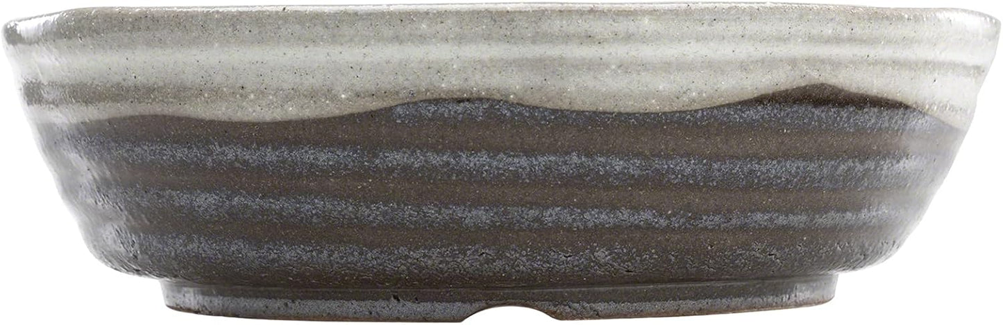 Wazakura Shigaraki Series Handmade White Stripe Glazed Ceramic Bonsai Pot with Drainage Hole, 8.2 (210 mm) Made in Japan, Garden Training Container, Flower Planter, Succulent Bowl - Big Size