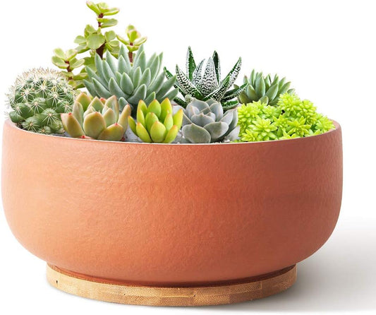 SQOWL Terracotta Planter Pot for Succulent 8 Inch Pottery Round Planter Cactus Clay Flower Pot with Drain Hole and Bamboo Tray Indoor Outdoor