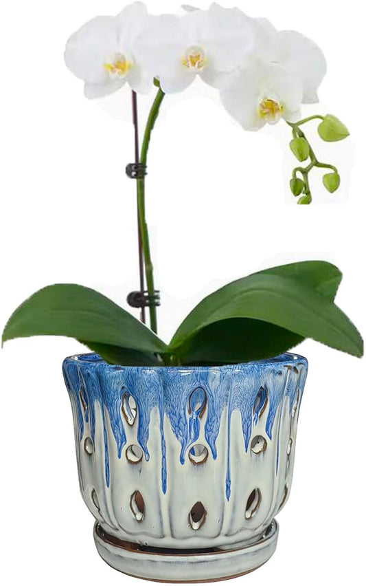 Ceramic Orchid Pot with Drainage Hole 6'' Orchid Planter (Blue Cover White)
