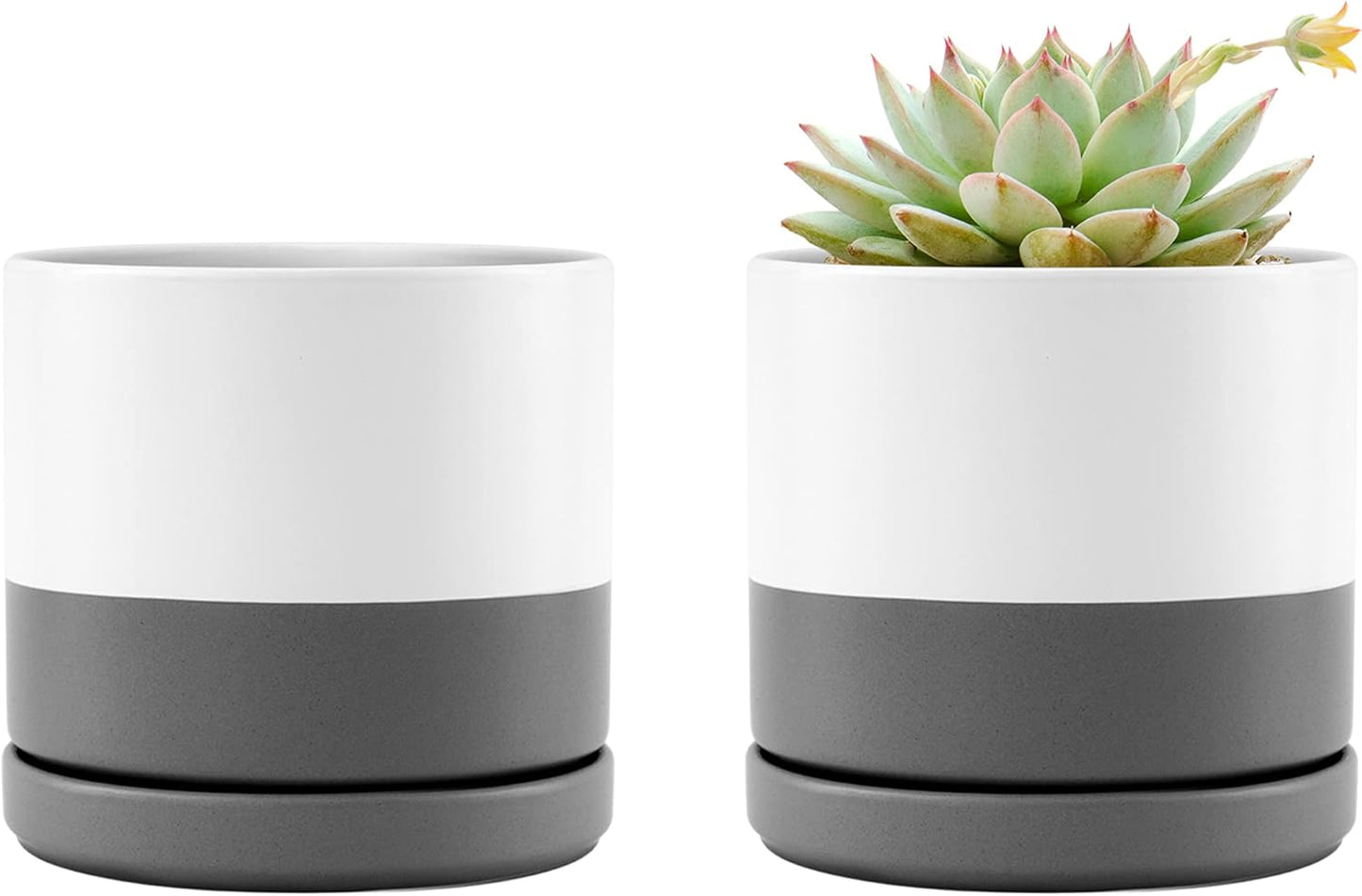 D'vine Dev Set of 2 Plants Pots, 4.6 Inch Ceramic Planter Pot for Plants with Drainage Hole and Saucer, White/Speckled Grey, 94-V-B-6