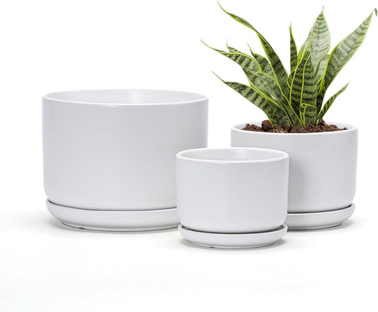 Ton Sin Plant Pots, 4.1+5.1+6.5 inch, Set of 3, Ceramic Planters with Drainage Hole and Saucer, Indoor Flower Pot with Hole Mesh Pad, Gifts for Mom(Matte White)