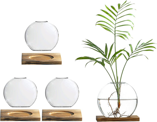 Glass Planter Propagation Station with Wooden Base - Clear Oblate Hydroponic Vase, Decorative Desktop Flower Vase for Home, Office, Windowsill - Gift for Plant Lovers (4)