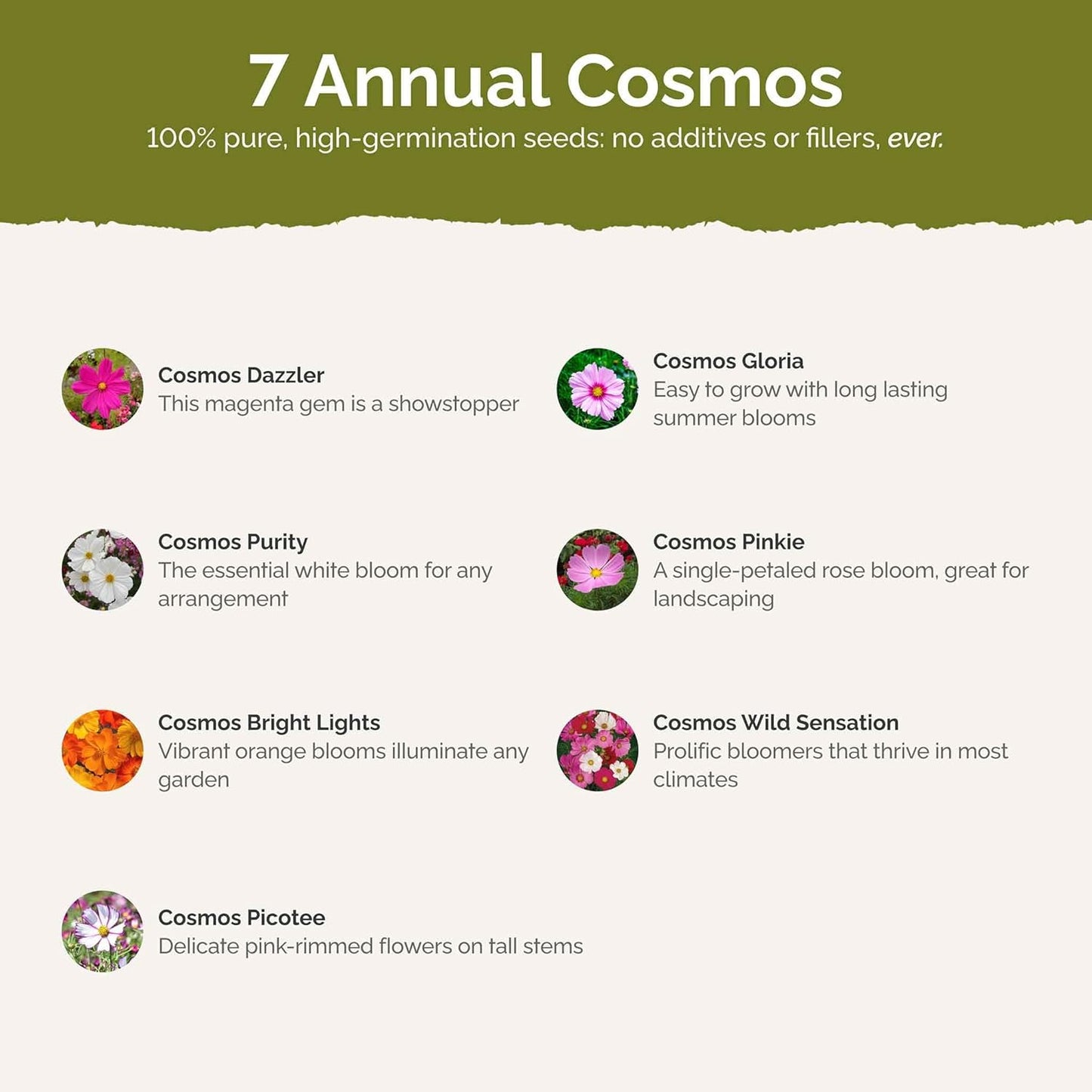 Eden Brothers Crazy for Cosmos Flower Mixed Seeds for Planting, 5 lb, 2,400,000+ Seeds with Cosmos Gloria, Pinkie, Purity | Attracts Pollinators, Plant in Spring or Fall, Zones 3, 4, 5, 6, 7, 8, 9, 10