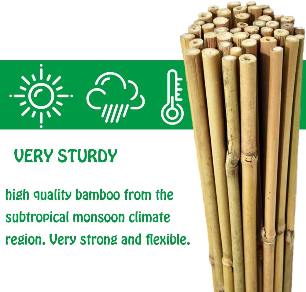 Mininfa Natural Bamboo Stakes 3 Feet, Eco-Friendly Garden Stakes, Plant Stakes Supports Climbing for Tomatoes, Trees, Beans, 25 Pack