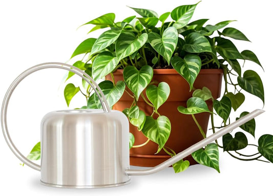 Stainless Steel Watering Can for Houseplants by Houseplant Resource Center | 1L Capacity for Indoor/Outdoor Plants in Brushed Silver