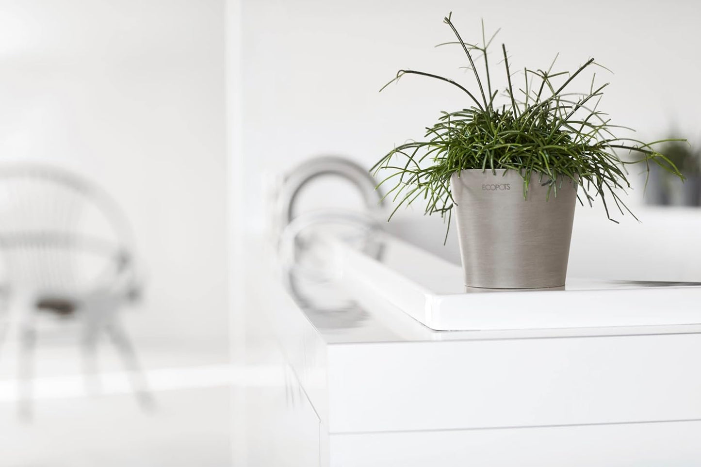 Ecopots Amsterdam Mini Durable Modern Round Recycled-Based Composite Flower Pot Planter, Taupe, 4"