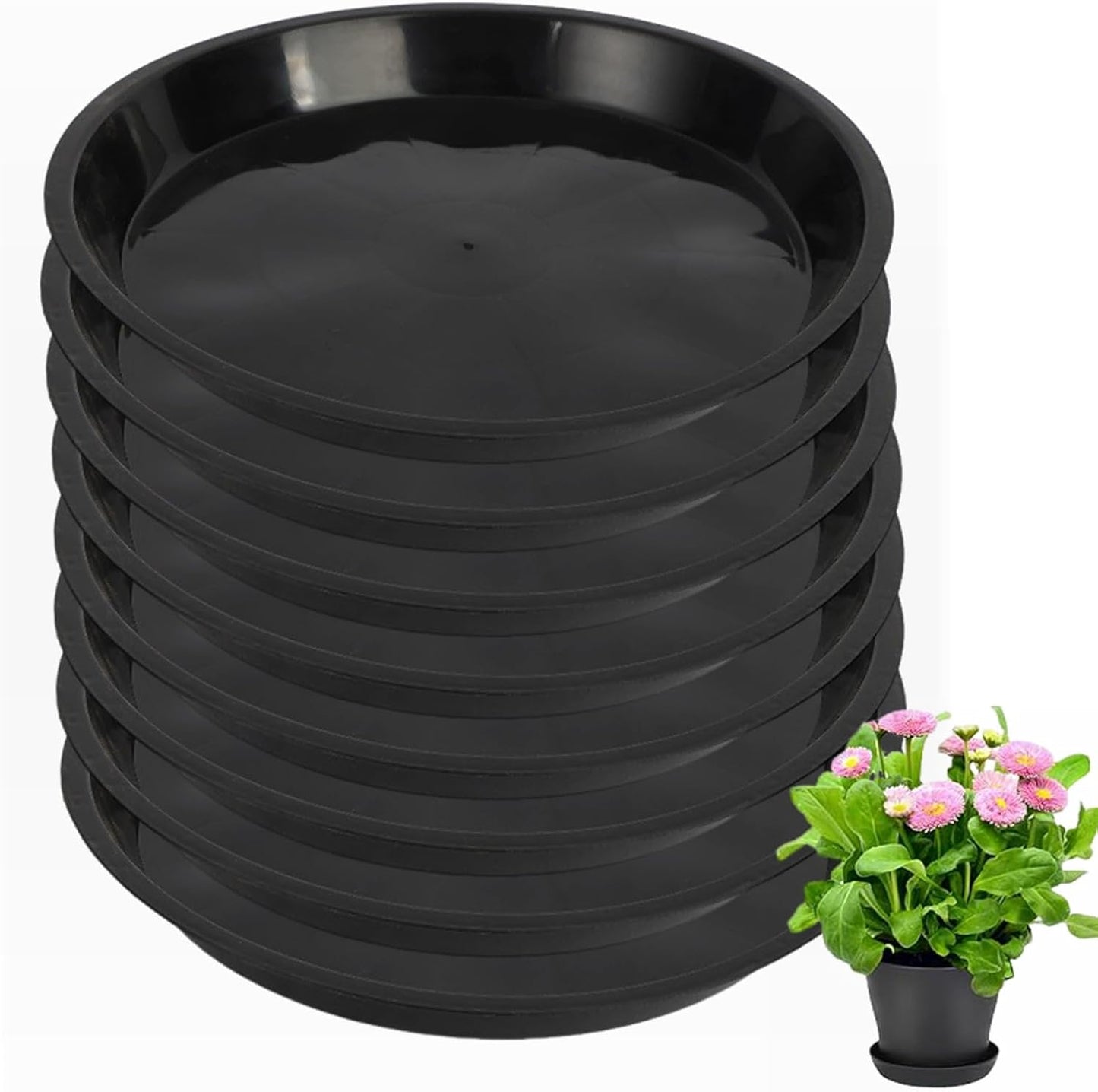 8 Pack Plant Saucer 10 Inch Plastic Plant Tray, Sturdy and Durable Flower Pot Container Accessories Plant Pot Saucers for Indoor and Outdoor (10Inch, Black)