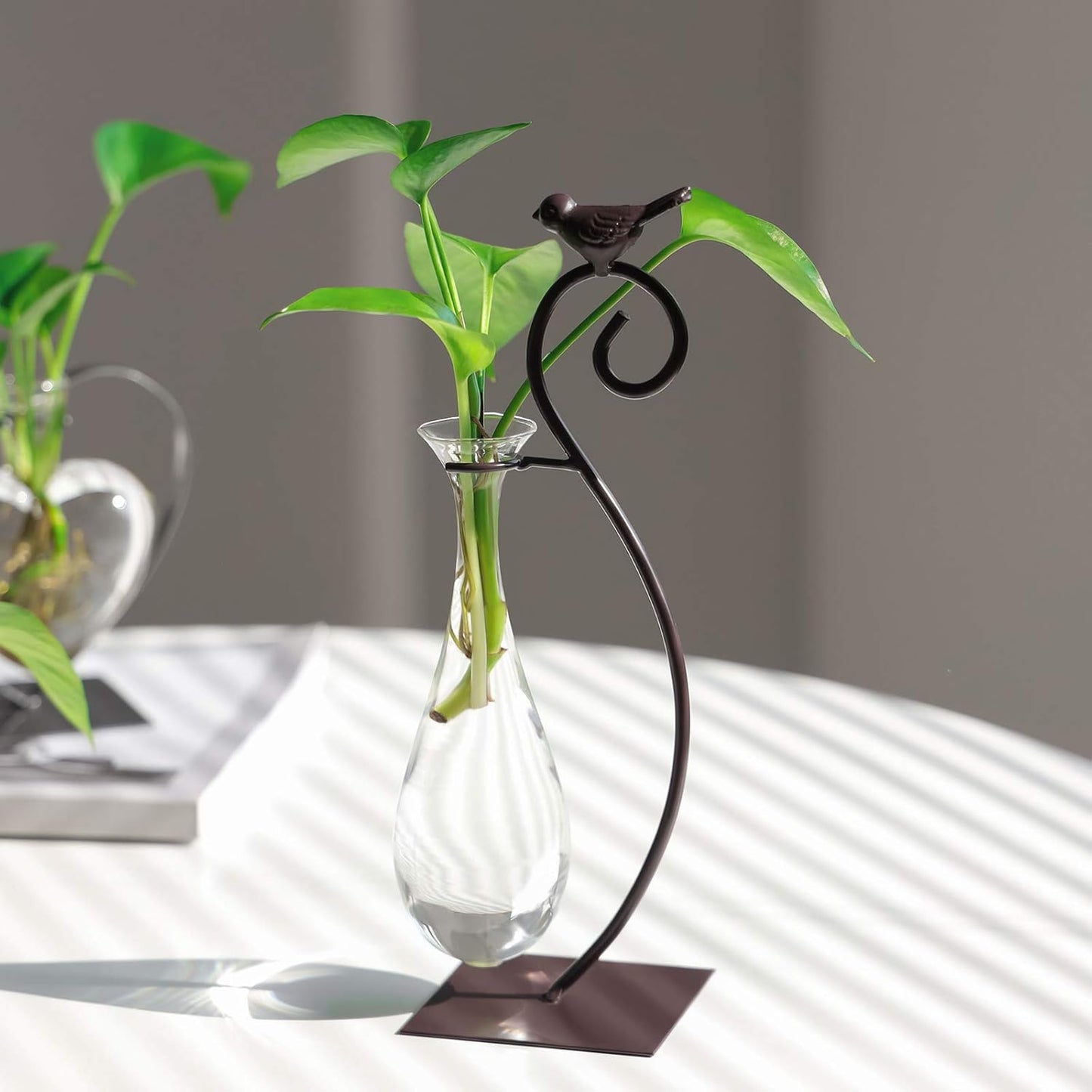 Marbrasse Desktop Glass Planter Hydroponics Vase,Planter Bulb Vase with Holder for Home Decoration,Modern Creative Bird Plant Terrarium Stand, Scindapsus Container (Water Drop Vase)