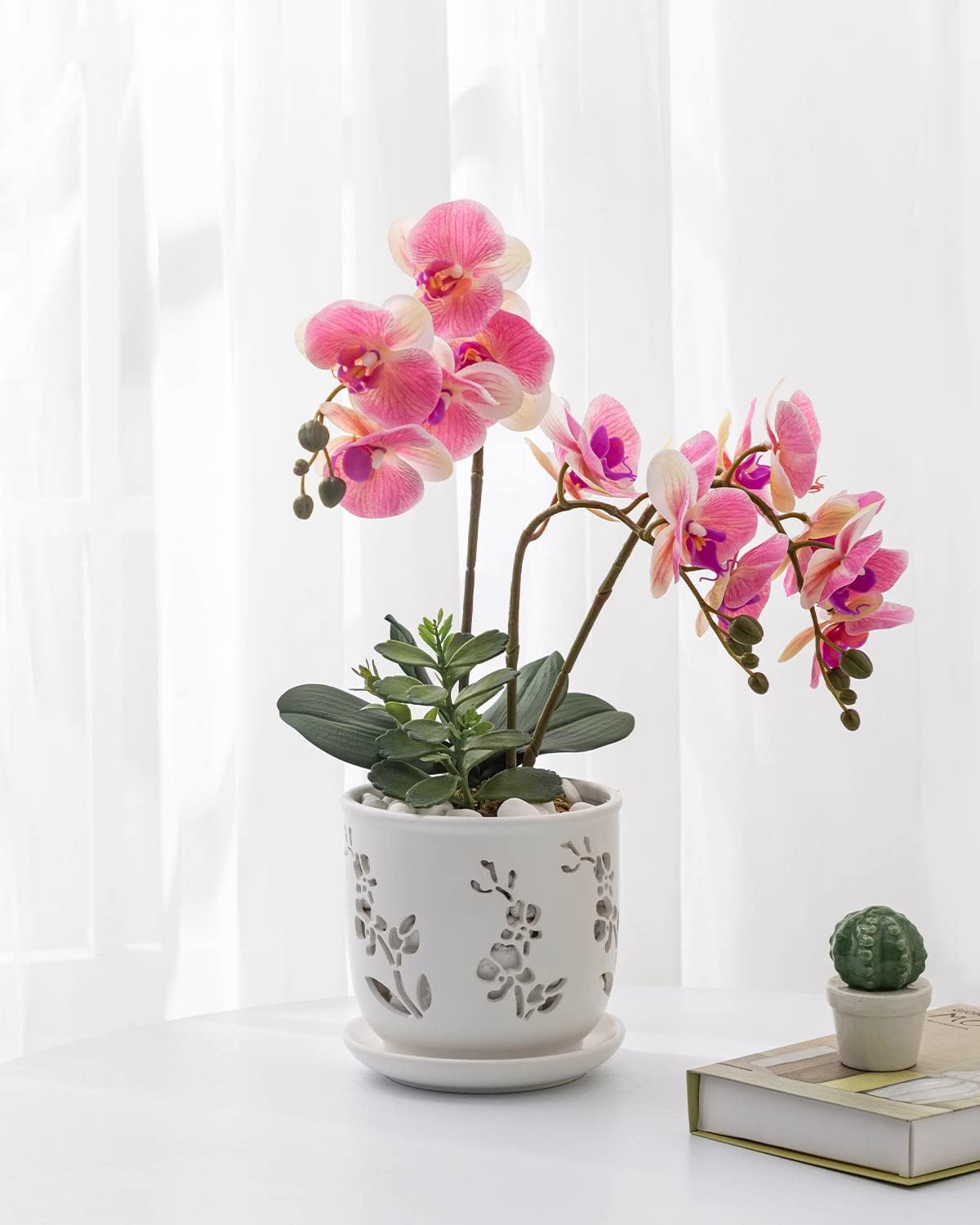 Orchid Pot, 6.5 inch Large Orchid Pots with Holes for Healthy Growth and Easy Repotting, Premium Ceramic Orchid Planter for Indoor and Outdoor Use, (Note : Plant Not Included)