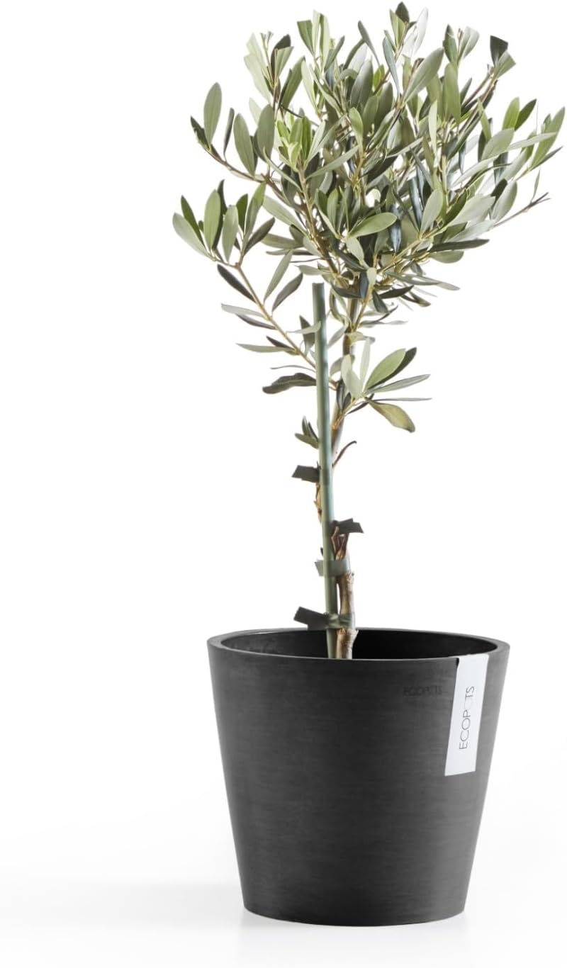 Ecopots Amsterdam Durable Modern Round Indoor/Outdoor Recycled-Based Composite Flower Pot Planter, Dark Grey, 8"