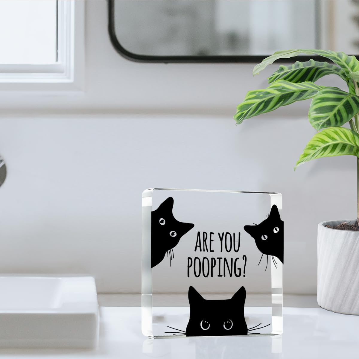Are You Pooping Funny Sign，Black Cat Decor, Cat Bathroom Acrylic Decor，Home Decor Bathroom Creative Gift For Women Men，Funny Decorate Retro for Home Toilet 4x4 Inches