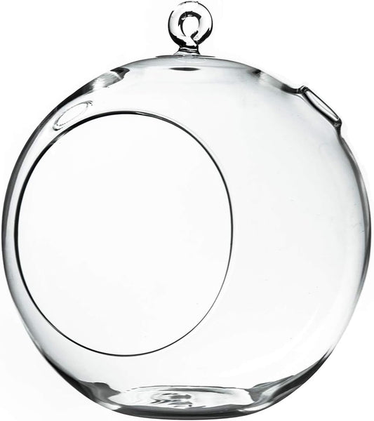 WGV Hanging Terrarium Globe, Width 8", Height 9", DIY Air Succulent Planter, Clear Glass Vase Orb with Flat Bottom, Candle Holder for Windowsill Outdoor Garden Decor, 1 Piece