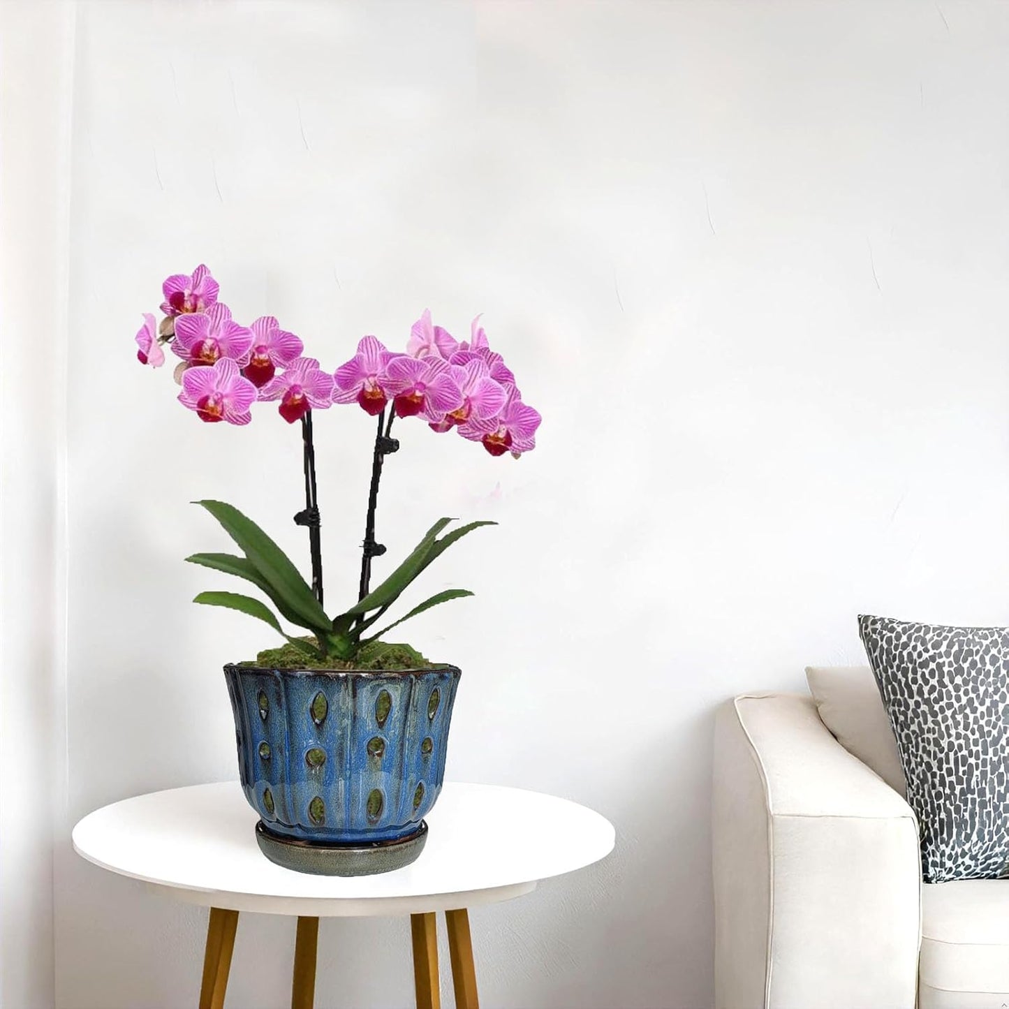 6 inch Round Ceramic Orchid Pot with Holes Orchid Planter (Dark Blue)