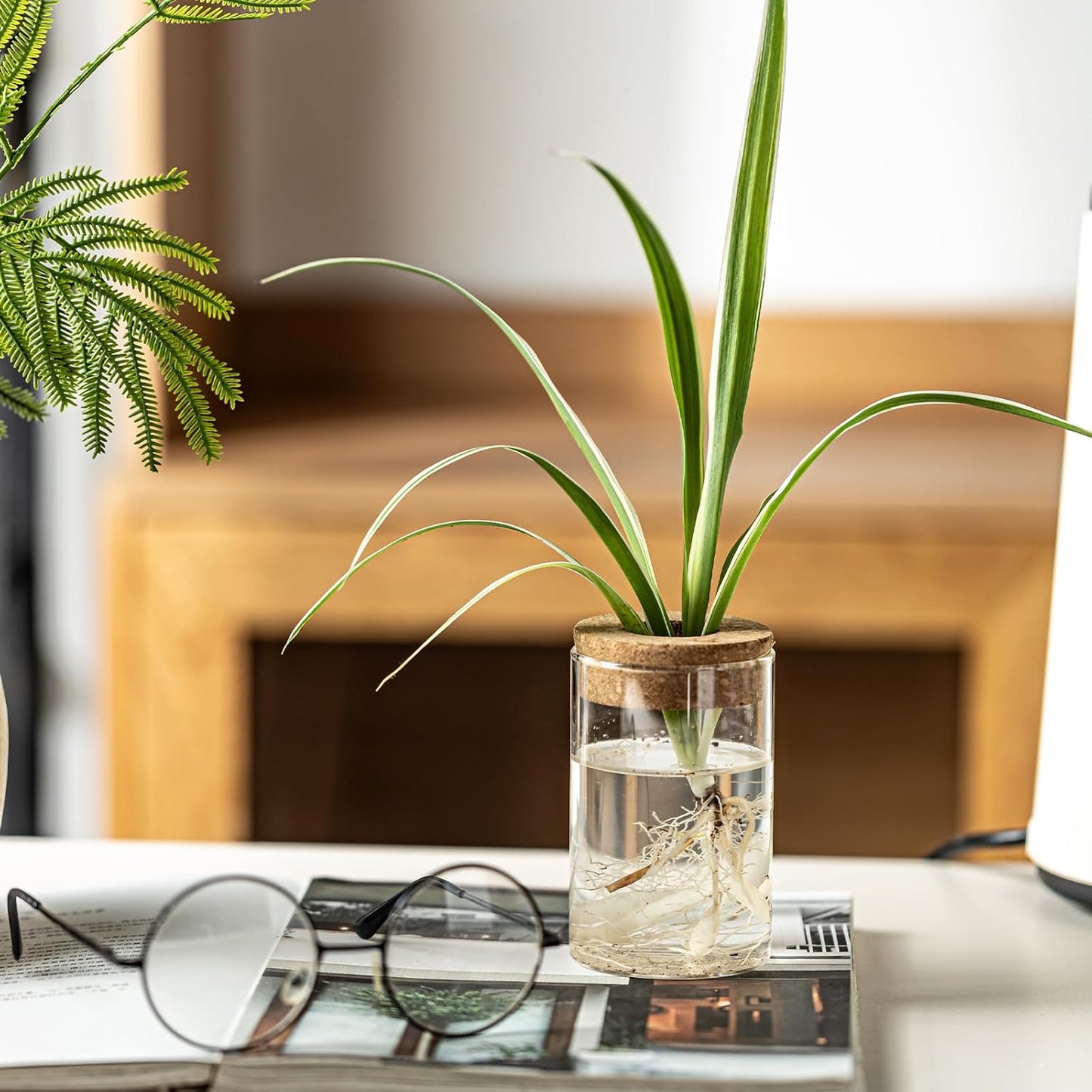 Glass Plant Propagation Stations for Plants – Set of 4(2 Large & 2 Small) Hydroponic Vases for Plant Cuttings,Flower Arrangements, Home & Office Decor–Desktop Vases for Living Room, Bedroom (4)