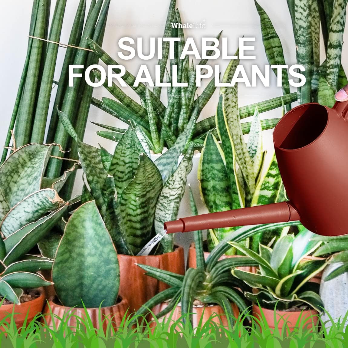 WhaleLife Indoor Watering Can for House Bonsai Plants (2.0L, Terra-Cotta Red)