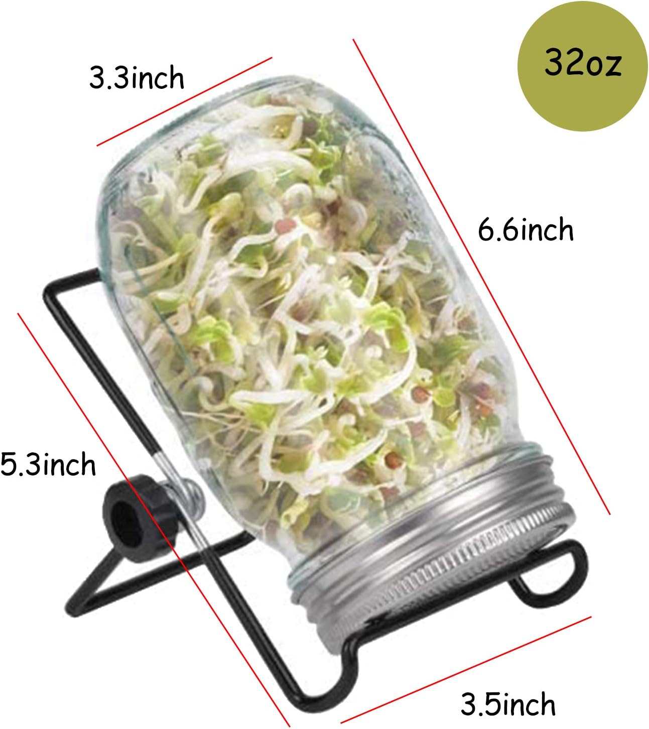 Sprouting Jar Kit, Wide Mouth Quart Mason Jars with Screen Sprout Lids & Stand, Seeds Germination Growing Kit, Seed Sprouter Set for Growing Organic Broccoli Alfalfa Mung Microgreens Bean (1Pack)