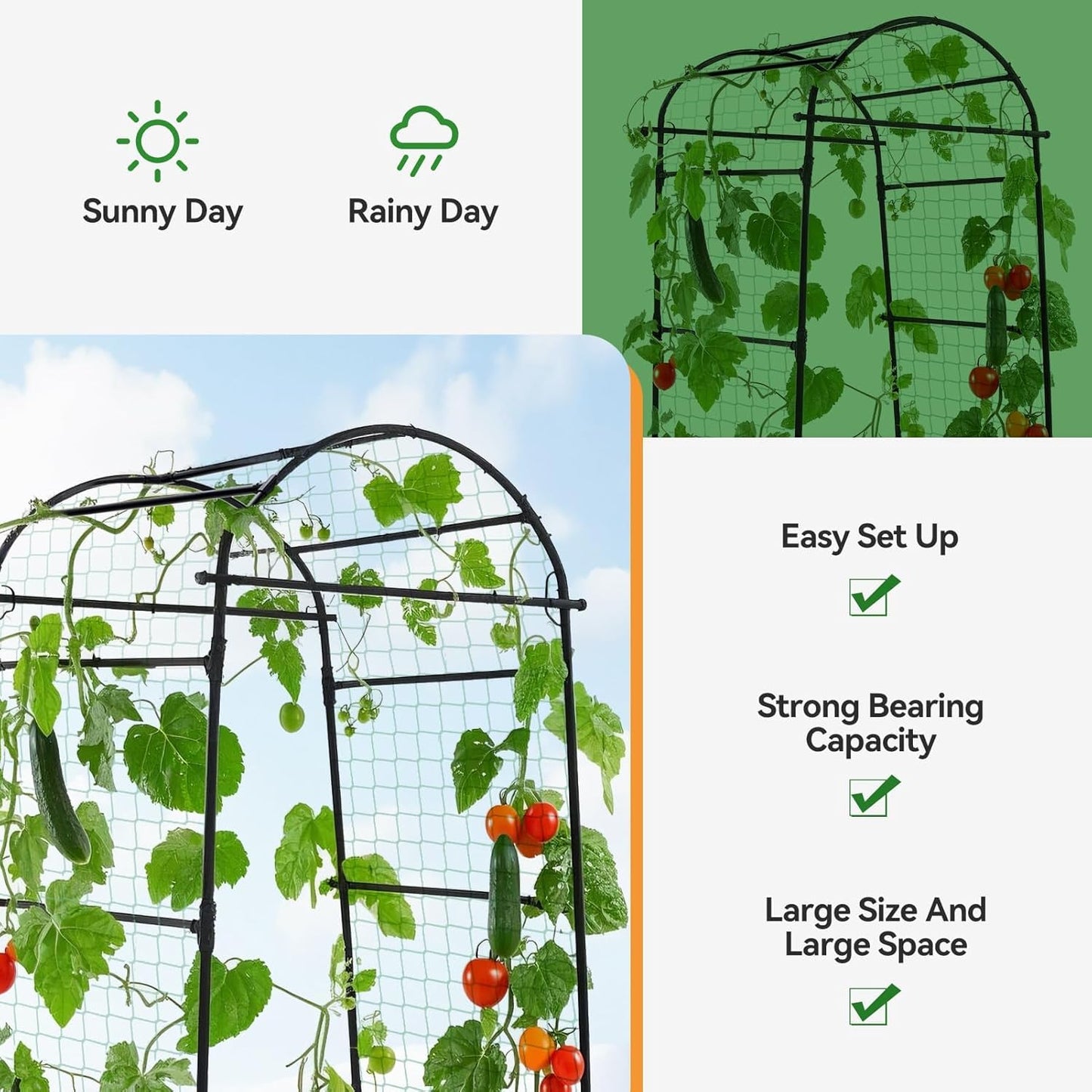 Lalahoni Garden Arch Trellis for Climbing Plants Outdoor, 80 Inch Tall Grape Trellis Metal Vine Plants Support Flower Vegetable Tomato, Cucumber Trellis for Raised Bed, Black