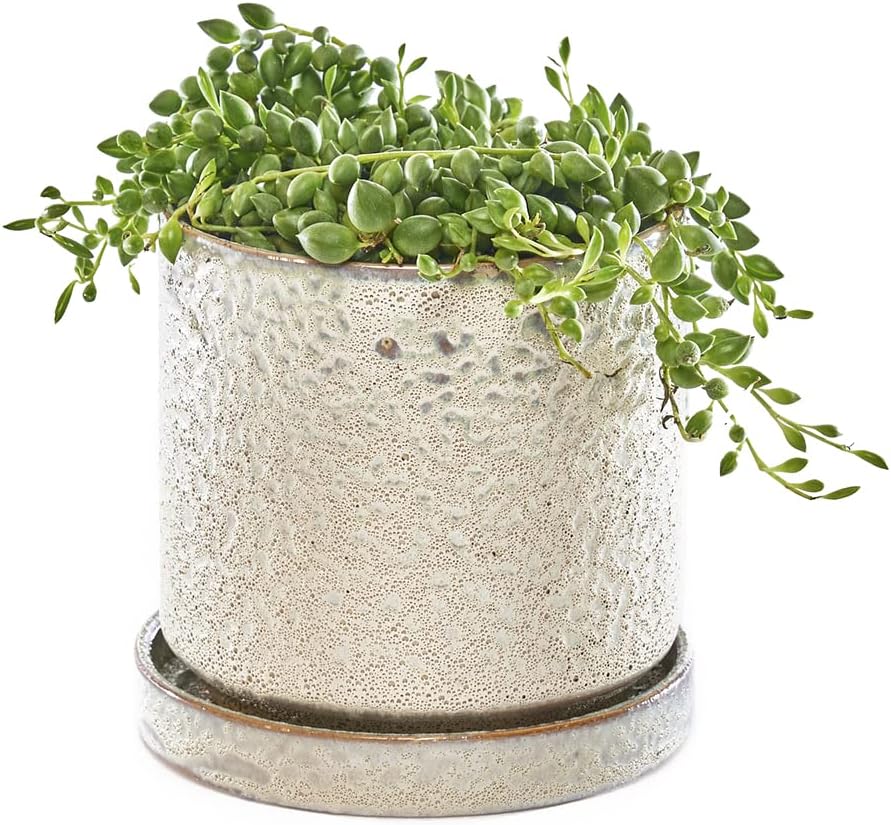 CHIVE ‘Minute’ Ceramic Planter Pot — Cute 5” Colorful Succulent Pots for Indoor & Outdoor House Plants — Beautiful Modern Farmhouse Kitchen Decor — Ivory Speckle