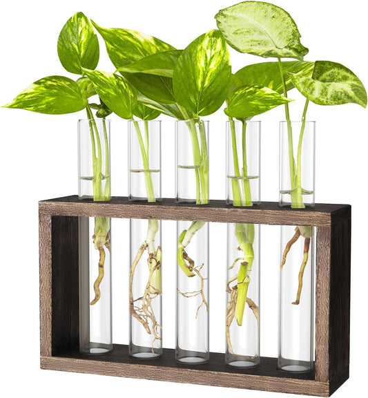 Ivolador Plant Propagation Station Terrariumin Wall Test Tube Vases Bud Tabletop Glass Wooden Stand with 5 Propagation Tubes for Propagating Hydroponic Plants Home Garden Wedding Decoration-Brown