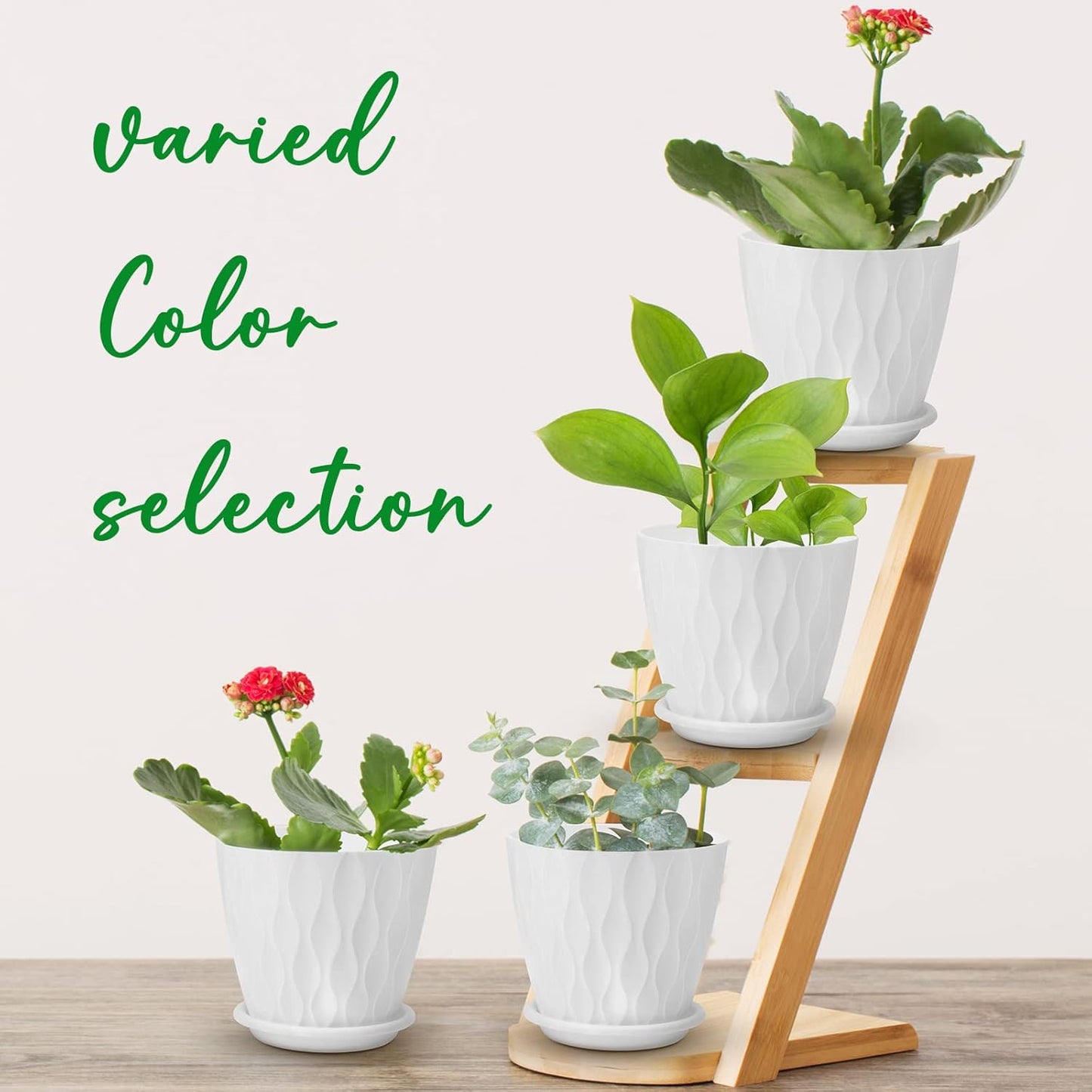 6 inch Plant Pots, 5 Pack Flower Pots Outdoor Indoor, Planters with Drainage Hole and Tray Saucer（White