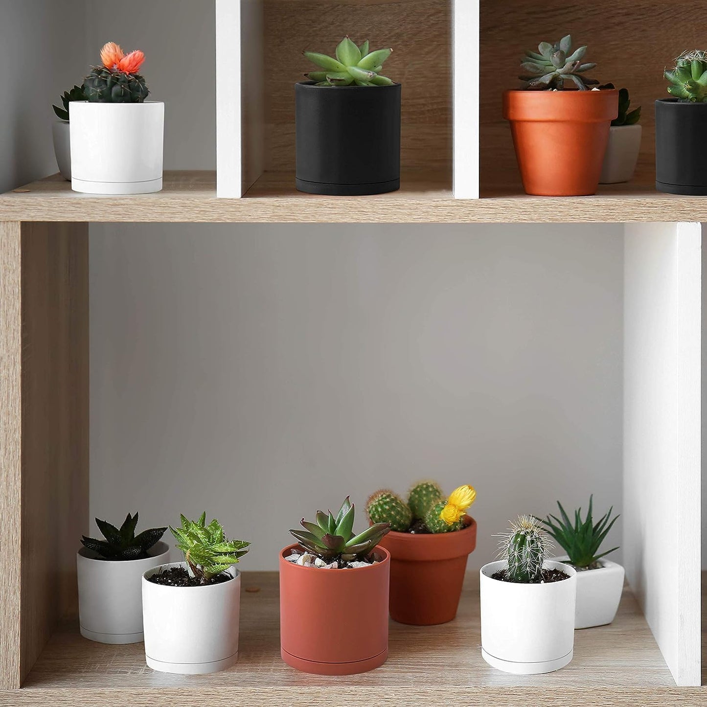 D'vine Dev 18 Pack 2.5 Inch Mini Plastic Plant Pots, Small Garden Planters for Plant with Drainage Holes and Saucers, White Color, 74-Z-B-5