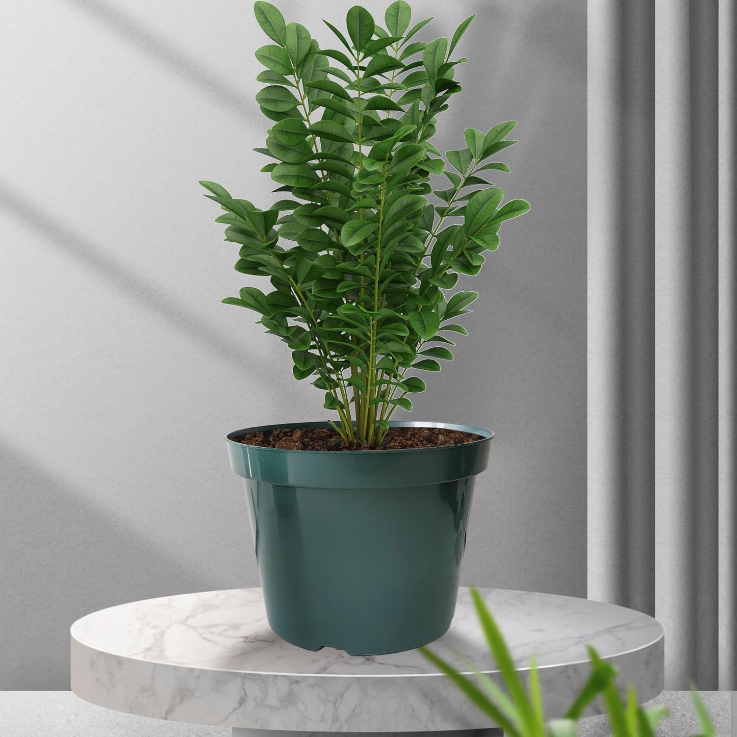 50 Pack 6 Inch Nursery Pots, Planting Grow Plastic Flower Pots, Thick Planters with Drainage Holes for Outdoor/Indoor Plants Succulent Herb (Green)