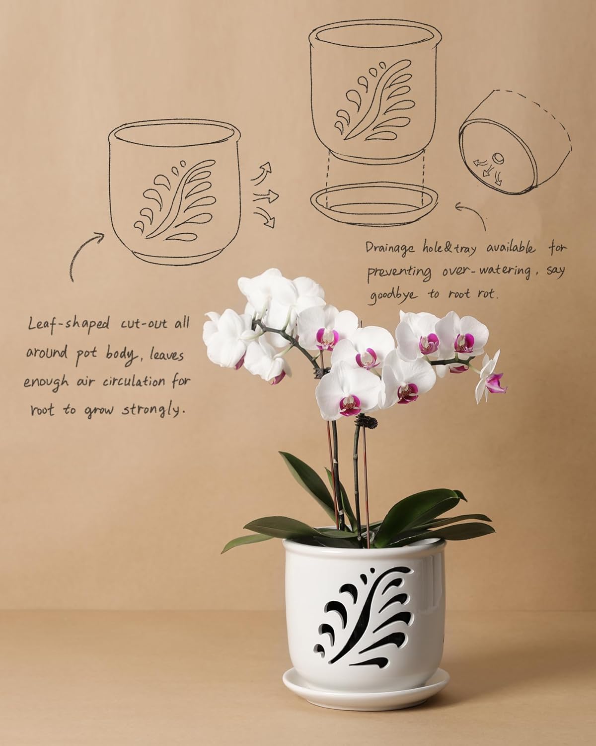 Ceramic Orchid Pot, 6 Inch Orchid Pots with Holes and Saucer for Indoor/Outdoor Plants Drainage & Air Circulation, White Orchid Planter for Repotting or New Plants