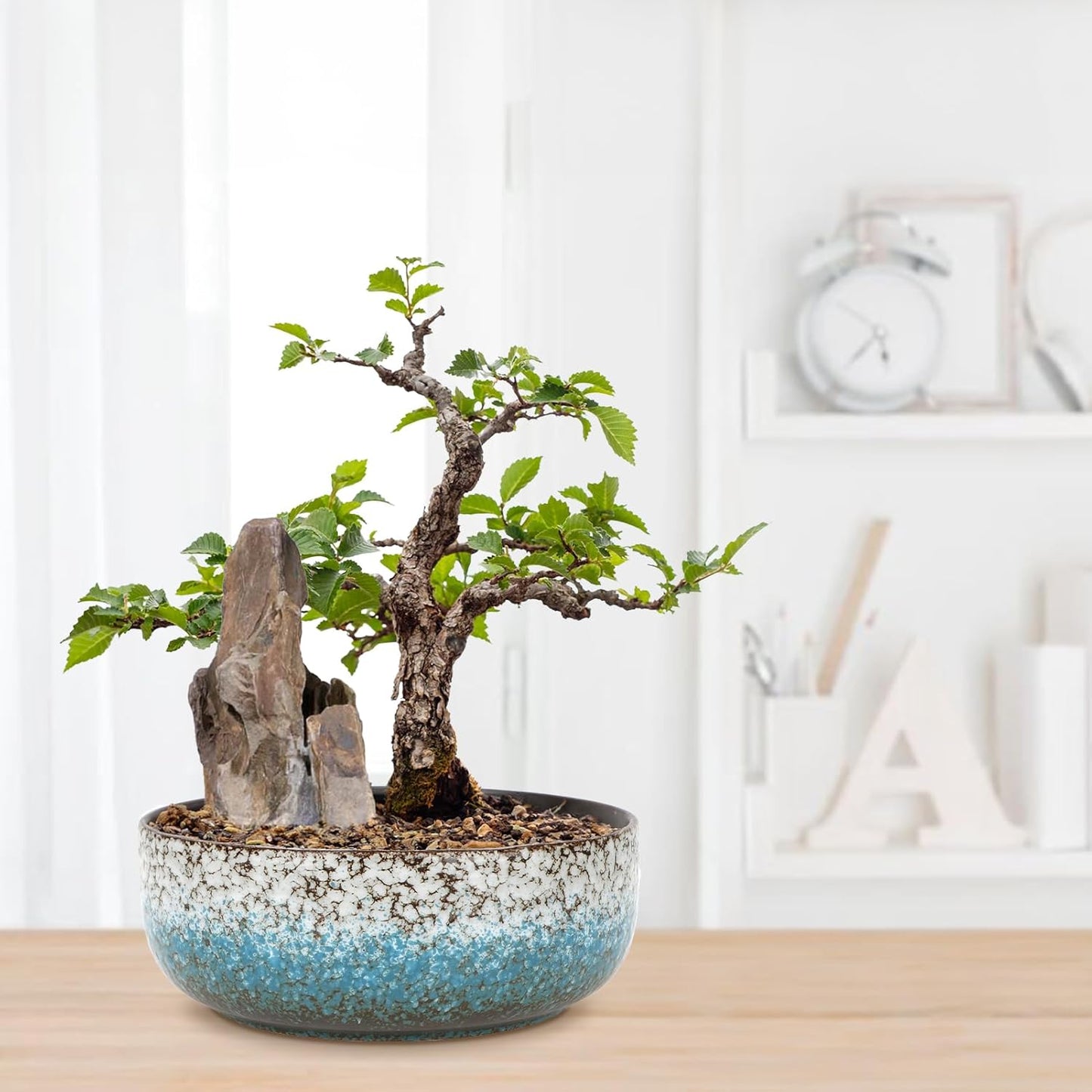 kilolfy Happy Bonsai Pot 6.5 inch Glazed Ceramic Succulent Planter Container