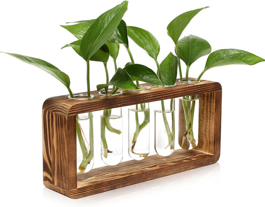 Glass Plant Propagation Station with 5 Test Tubes Planter Vase with Wooden Stand Birthday Gifts for Women Mom Plant Lovers