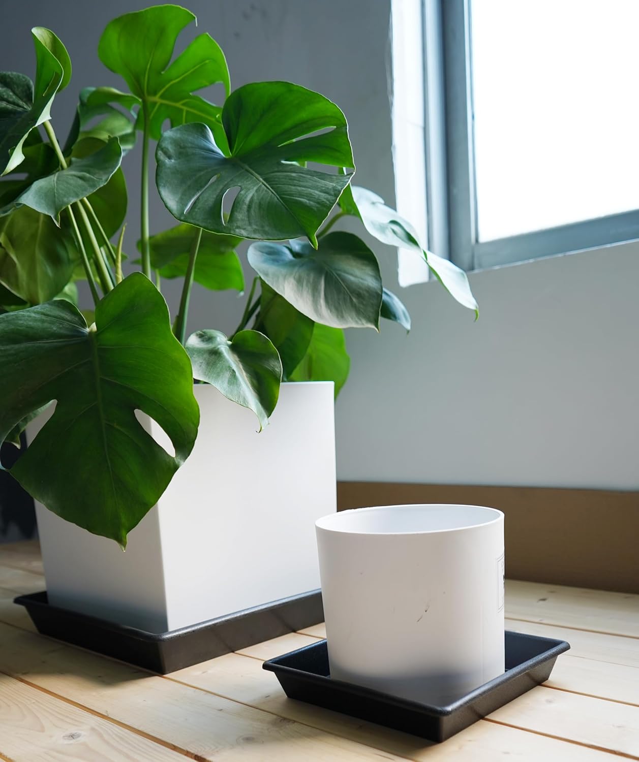 Square Plant Saucer 12 Inch 2 Pack 6 8 10 12 14 16 18 20 Inch, Plant Trays for Pots Heavy Duty Plastic Plant Saucers for Indoors Outdoors, Flower Pot No Holes Plant Drip Trays