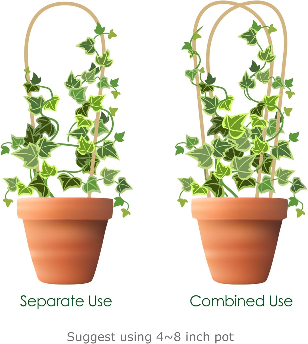 Indoor Plant Trellis for Climbing Plants 16in, 6 Pack Arch Bamboo Trellis for Potted Plants