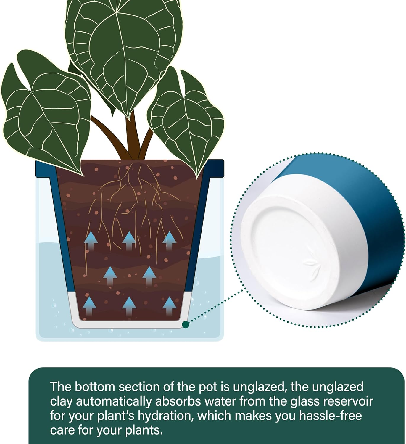 D'vine Dev 6 Inch Design Self Watering Planter for Indoor Plants, Blue Terracotta Pot with Cylinder Glass Cup, 37-X-B-4