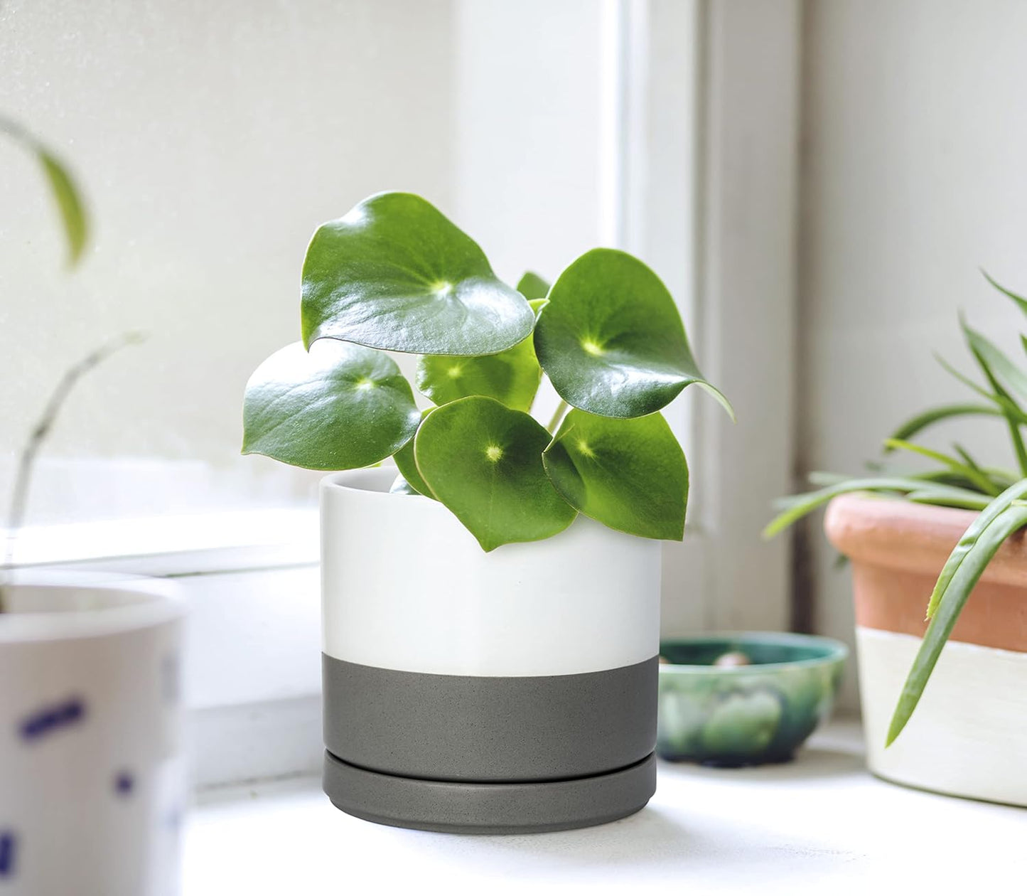 D'vine Dev Ceramic Planter Pot with Drainage Hole and Saucer, Indoor Cylinder Round Flower Pot, 4.6 Inch, White/Speckled Grey, 94-O-B-6