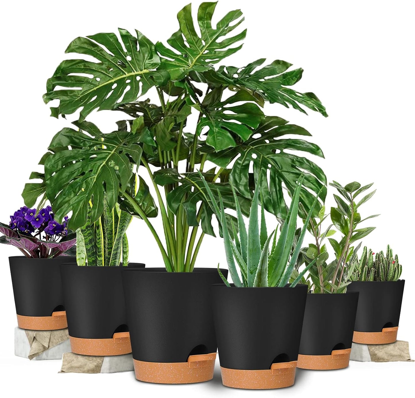 GARDIFE Plant Pots 8/7/6.5/6/5.5/5 Inch Self Watering Planters with Drainage Hole, Plastic Flower Pots, Nursery Planting Pot for All House Plants, African Violet, Flowers, and Cactus,Black