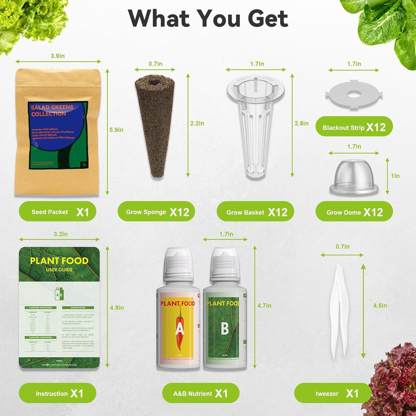 inbloom 12-Pod Salad Greens Seed Pod Kit for AeroGarden, Ahopegarden, Hydroponic Garden with Spinach, Buttercrunch, Paris & American Lettuce, Swiss Chard, Wild Cabbage