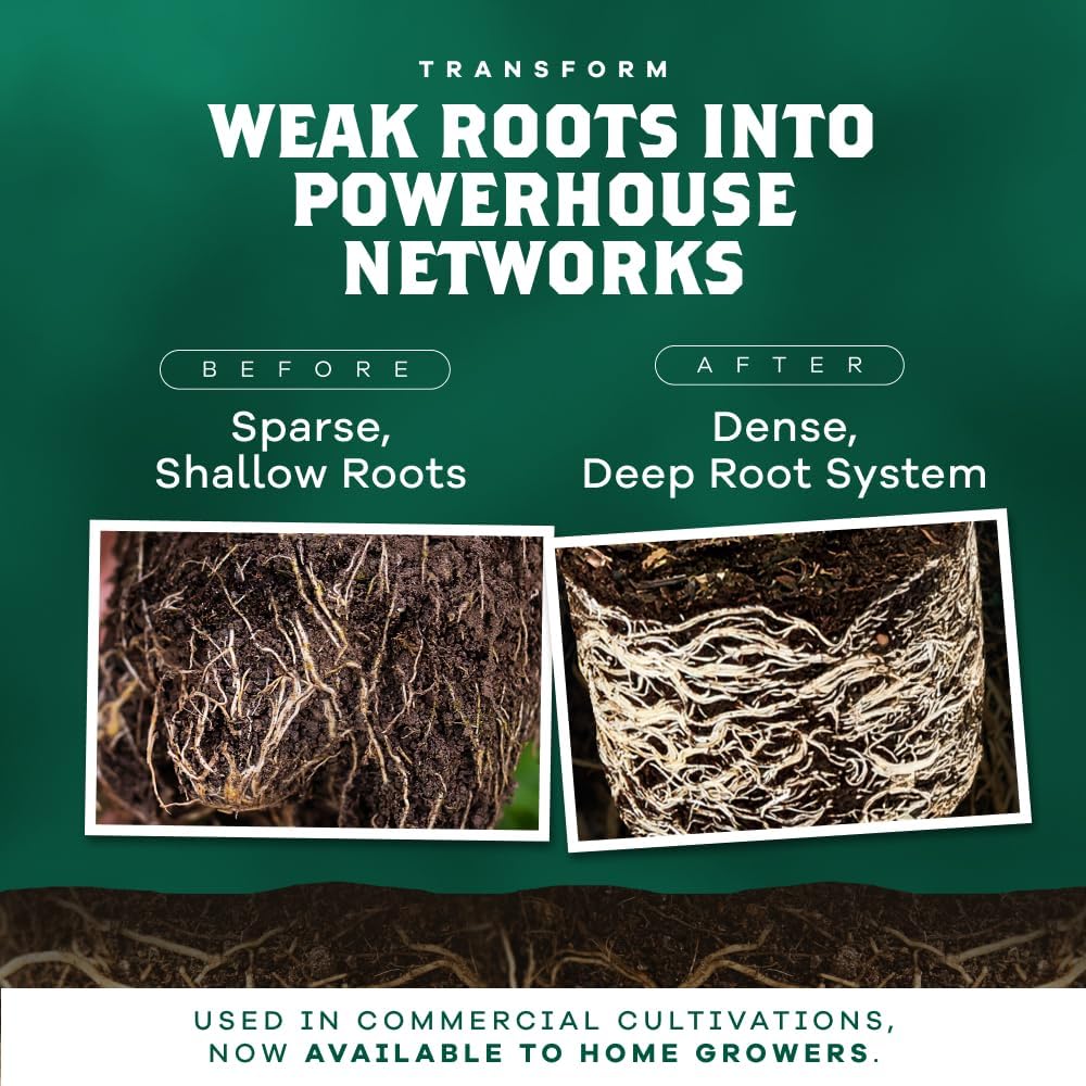 DYNOMYCO Granular Mycorrhizal Fungi Inoculant, 750g / 26.50oz – Boosts Root Growth, Yields & Nutrient Uptake – 900 Propagules/g, Concentrated Granules, & OMRI Listed – Biofertilizer for Plant Growth