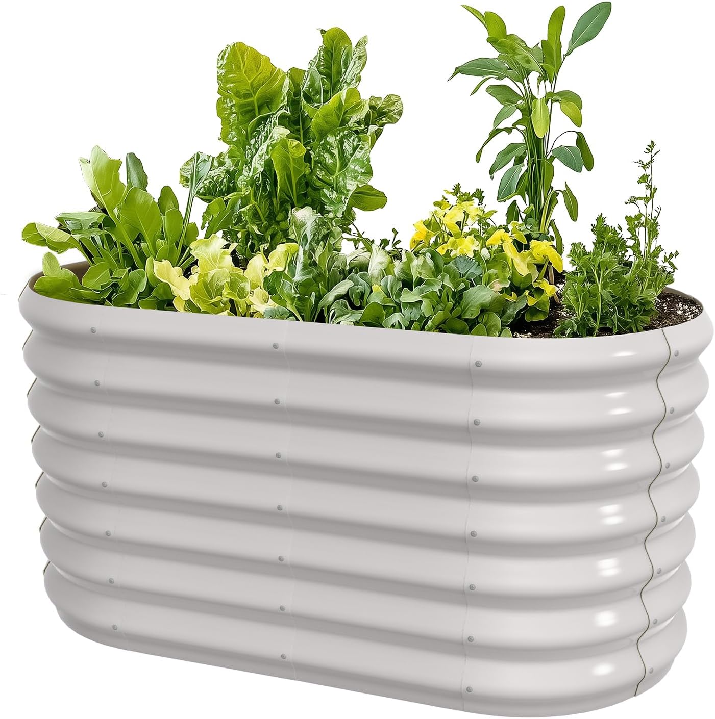 4x2x2ft Oval Galvanized Raised Garden Bed Kits Outdoor Large Metal Modular Planter Box 9-in-1 Raised Beds for Gardening,Vegetables,Fruits,Flowers & Herbs (White)